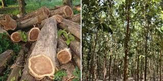 1.21 కోట్ల జరిమానా - ఎందుకో తెలుసా ?.. images 1 1
