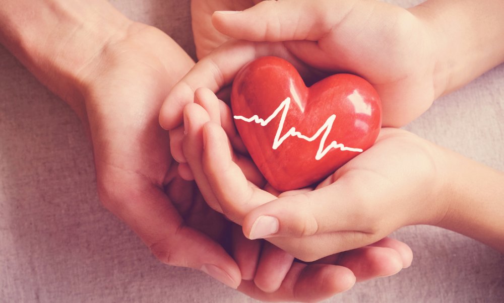 అన్నిదానాల్లో కన్నా మిన్న అవయవదానం!.. organ donation germany could become opt out new bill